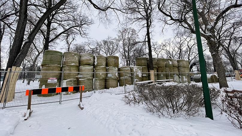 Stacks of bales in Kildonan Park.