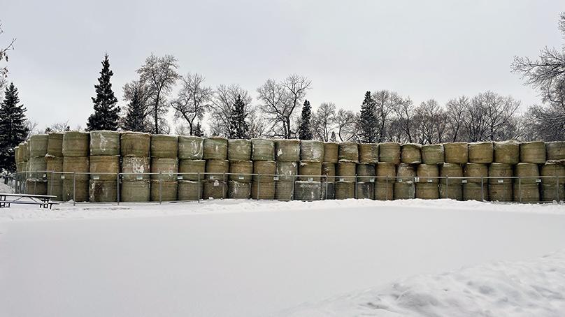 Stacks of bales in Fraser's Grove Park.