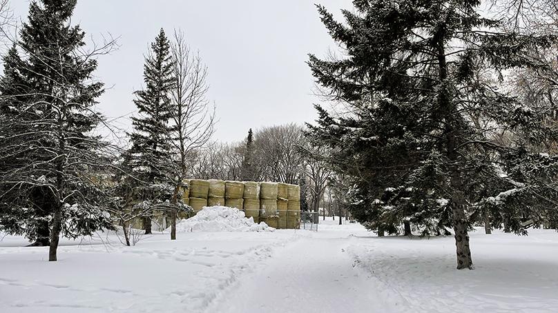 Stacks of bales in Fraser's Grove Park.