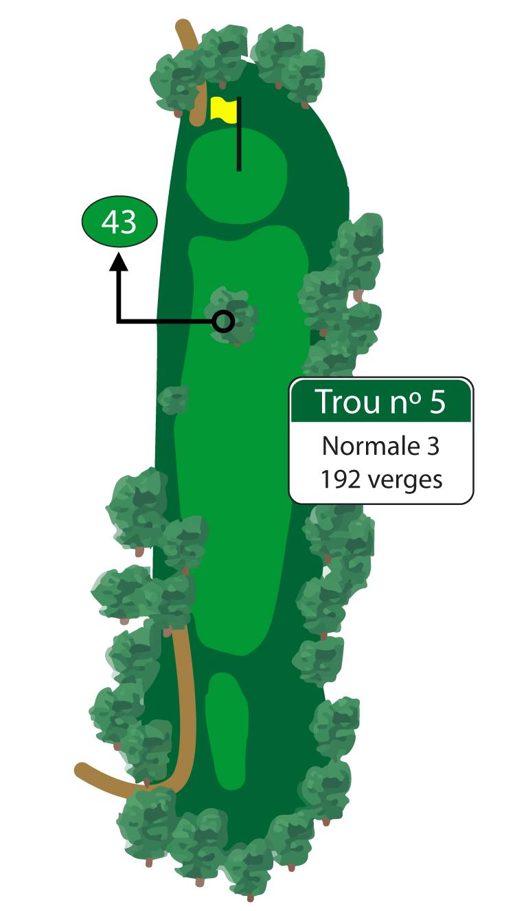 Évitez le grand arbre au milieu de l’allée sur ce long par 3. Réussir la normale sur le 5e trou est un exploit. 