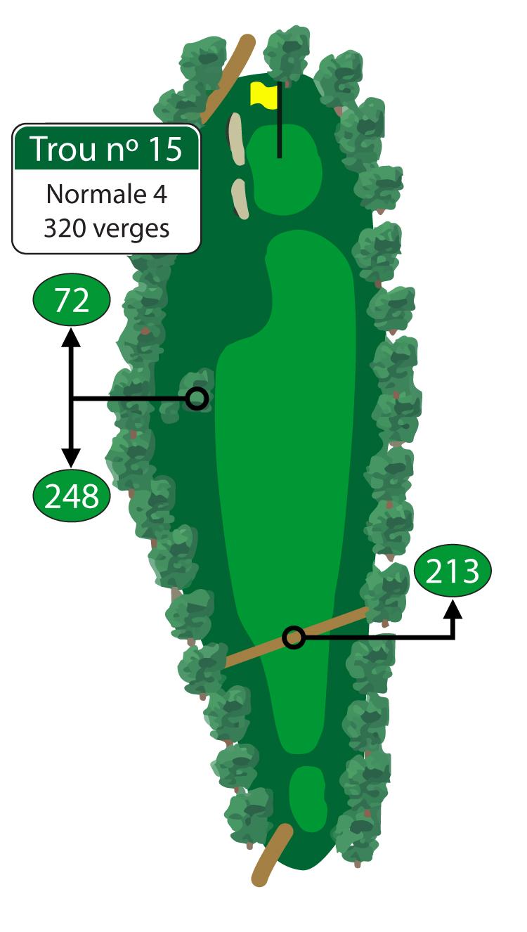 Il est possible de réussir un oiselet sur ce court par 4. Une allée large et dégagée menant à un grand vert plan offre aux golfeurs une occasion en or de réduire leur score à l’approche des trois derniers trous. 