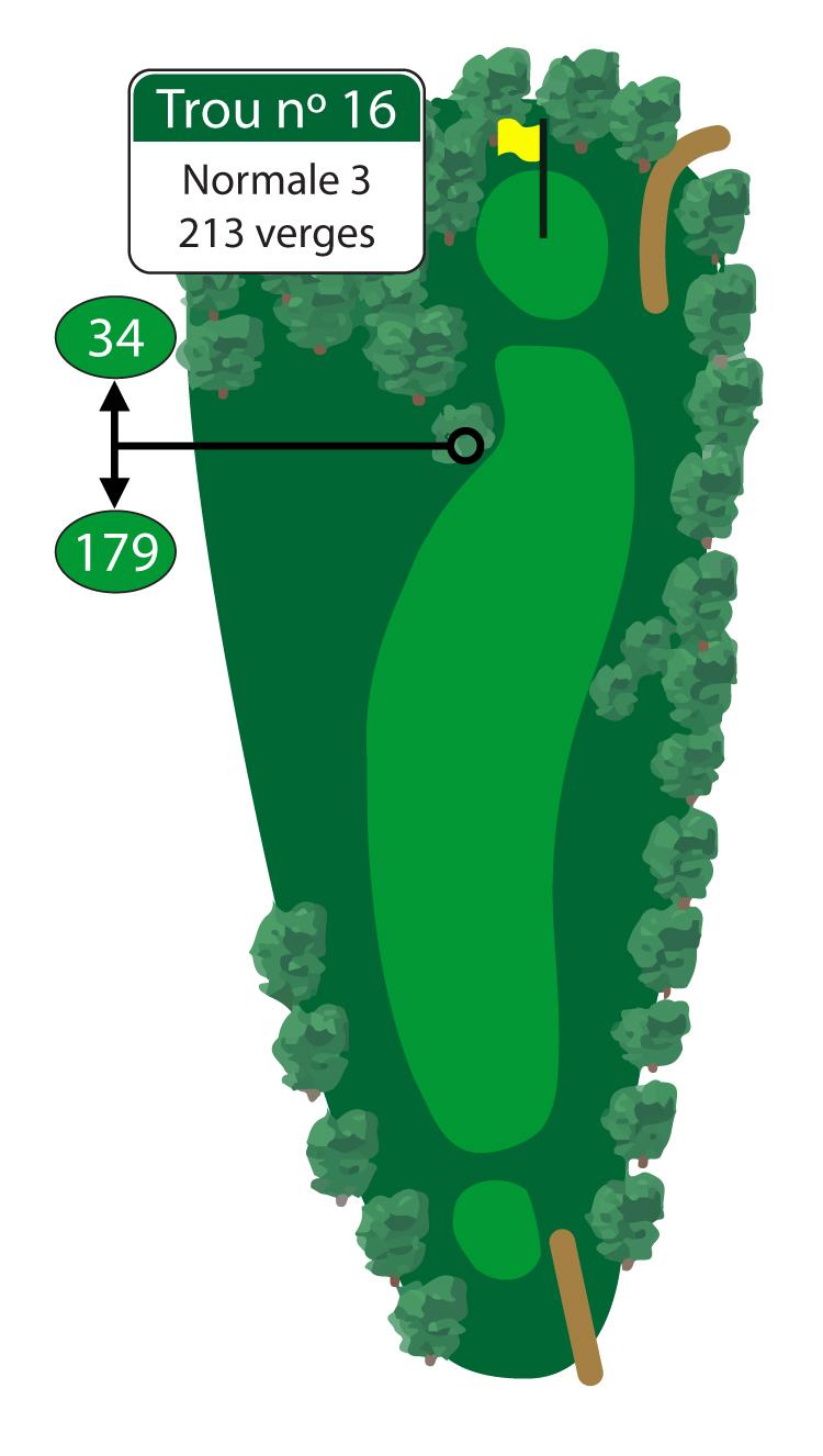 Un autre par 3 long et difficile qui mettra à l’épreuve votre capacité à réussir la normale. Évitez le côté droit de ce trou qui est très boisé et qui rendra toute balle perdue difficile à trouver. 