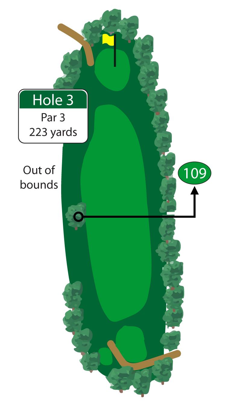 Par is a great score on this long tough par 3. 