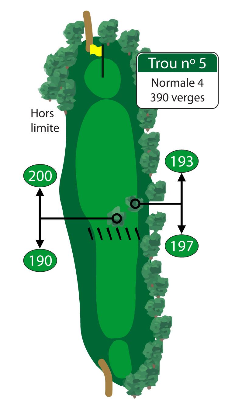 Les golfeurs qui ont de longs coups de départ peuvent viser par-dessus l’arbre au centre de l’allée. Avec un coup de départ plus court ou de longueur moyenne, il faut viser légèrement à droite de cet arbre majestueux afin de toucher l’allée. Prudence sur votre coup d’approche pour atteindre ce vert de petite taille : faites attention à la fosse de sable située juste derrière.