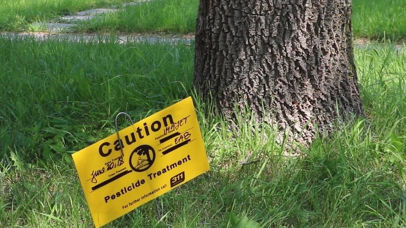 This sign will be placed by trees that have been injected.