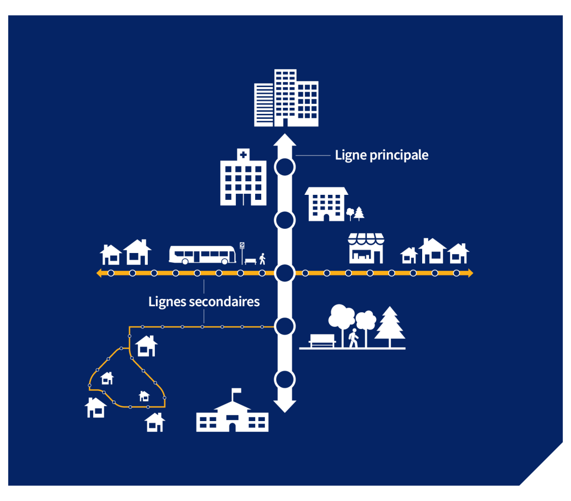 Lignes secondaires reliées à un réseau de transport en commun principal, qui en constitue l’épine dorsale. Comme l’indiquent les points placés le long des différents types de lignes, les arrêts du réseau principal sont plus éloignés les uns des autres que ceux des lignes secondaires. 
