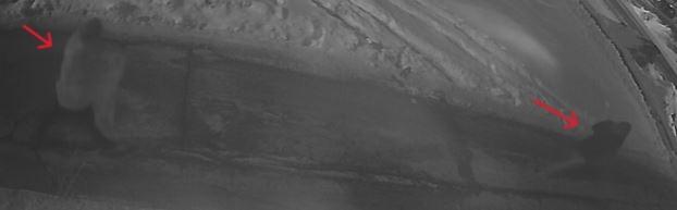 Two individuals that Homicide is looking to speak with.