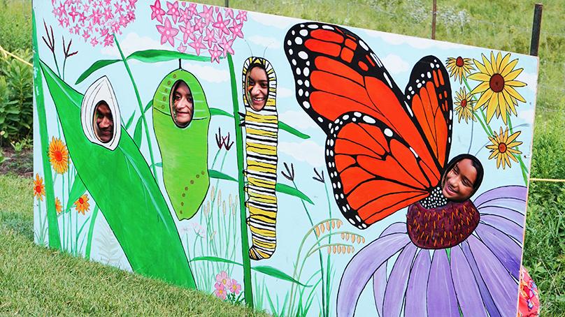 The popular Monarch Butterfly Festival takes place Saturday, July 26 and Sunday, July 27 from 10 a.m. to 3 p.m. Credit: Parker Andreas