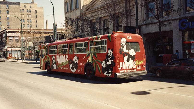 Bus No. 138 fully vinyl wrapped in a "Pandas in Person" ad. The bus travels east on Portage Ave. at Kennedy St. Taken in 1987.