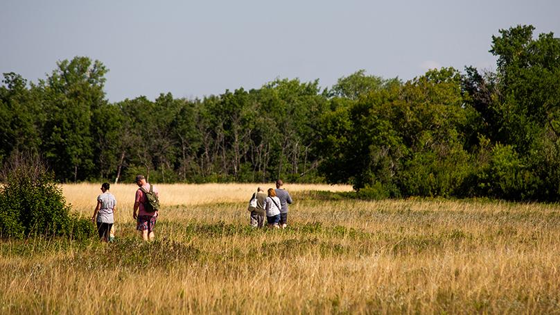 The 13-hectare urban nature preserve is home to a large population of endangered monarch butterflies.