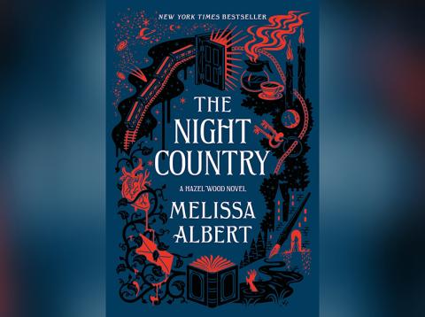 Cover image of The Night Country by Melissa Albert